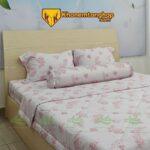 Combo Drap Mền Tencel Microfiber Mã số 55 đủ bộ 5 món