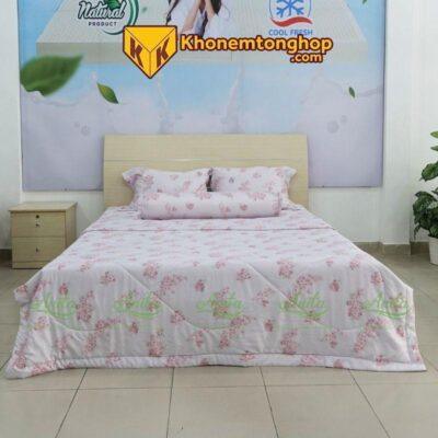 Combo Drap Mền Tencel Microfiber (5 món) - Mã số 55