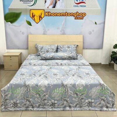 Combo Drap Mền Tencel Microfiber (5 món) - Mã số 58