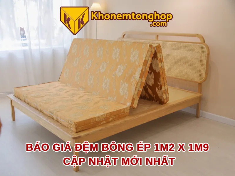 Báo giá đệm bông ép 1m2 x 1m9 cập nhật mới nhất [timect]