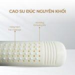 Gối ôm cao su Beetex 17 Gối ôm cao su Beetex 16