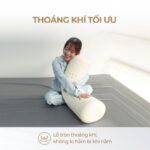 Gối ôm cao su Beetex 13 Gối ôm cao su Beetex 12
