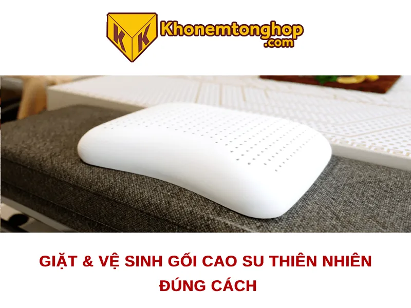 Giặt & Vệ sinh gối cao su thiên nhiên đúng cách 1 Giặt & Vệ sinh gối cao su thiên nhiên đúng cách