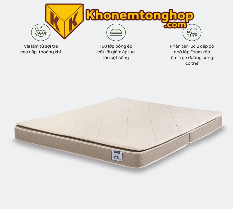 Top 5 Mẫu nệm Foam Everon được yêu thích nhất [timect] 4