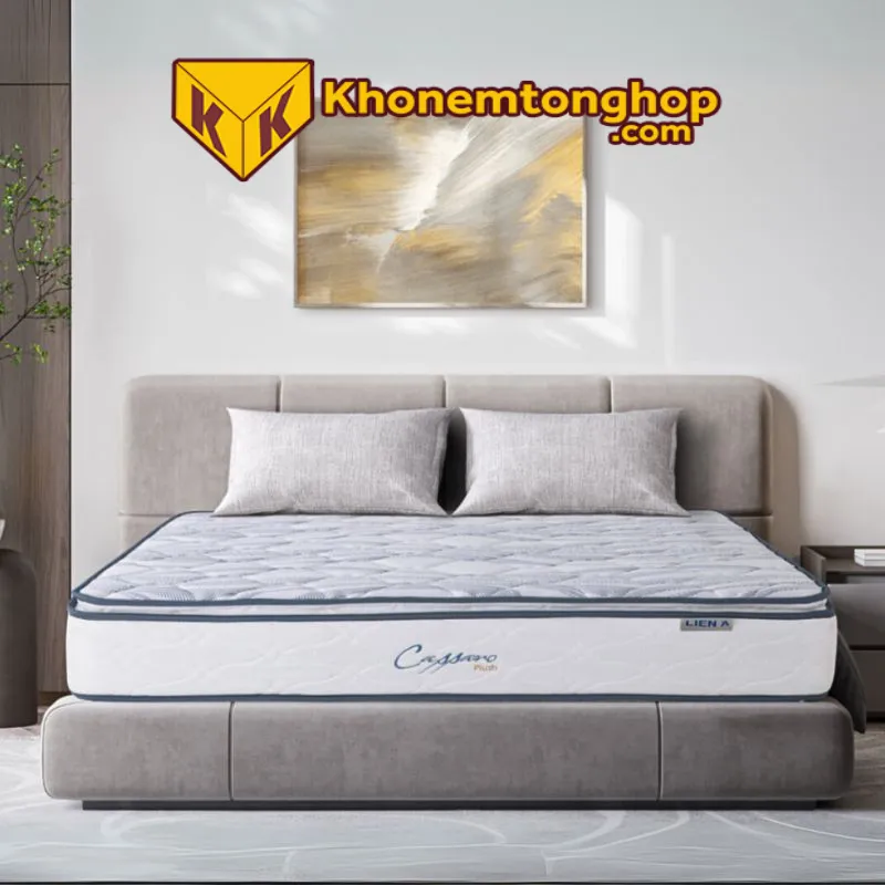 So sánh mô hình đại lý và nhượng quyền trong ngành nệm 5 Chi phí đầu tư giữa mô hình đại lý và mô hình nhượng quyền có sự khác nhau