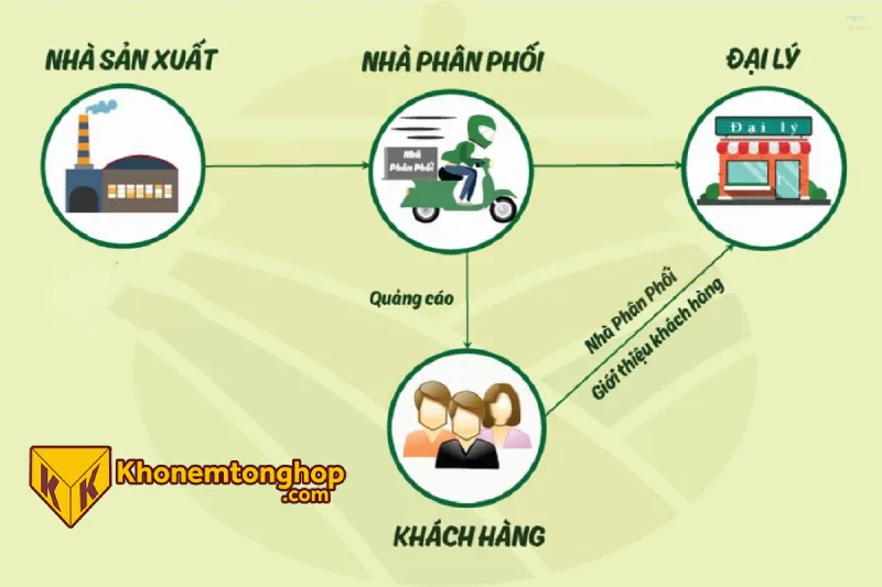 So sánh mô hình đại lý và nhượng quyền trong ngành nệm 2 Mô hình đại lý