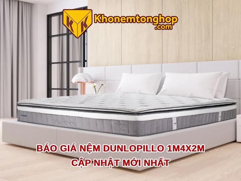 Báo giá nệm Dunlopillo 1m4x2m (140x200cm) cập nhật mới nhất 1 Báo giá nệm Dunlopillo 1m4x2m (140x200cm) cập nhật mới nhất