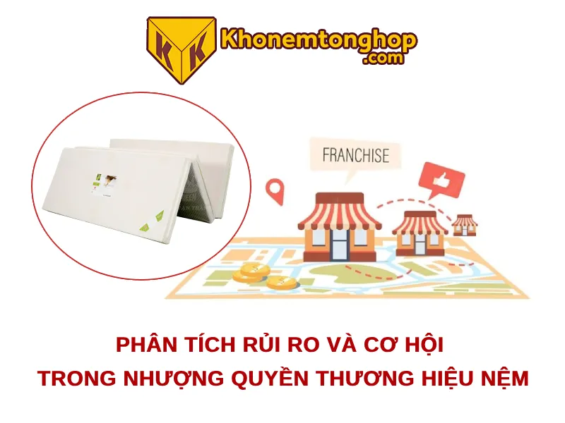 Phân tích rủi ro và cơ hội trong nhượng quyền thương hiệu nệm 1 Phân tích rủi ro và cơ hội trong nhượng quyền thương hiệu nệm