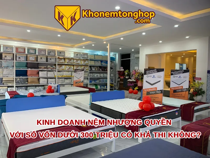 Kinh doanh nệm nhượng quyền với số vốn dưới 300 triệu có khả thi không? 1 Kinh doanh nệm nhượng quyền với số vốn dưới 300 triệu có khả thi không?