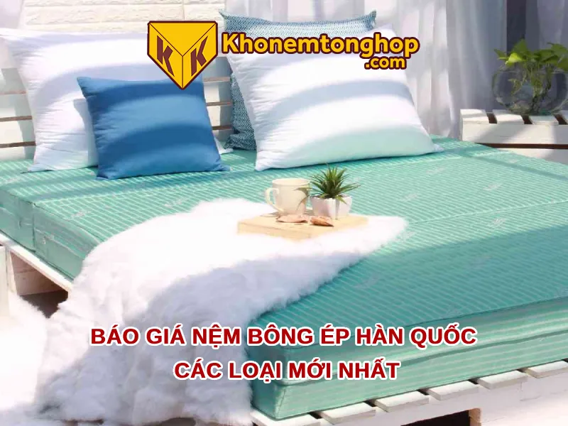Báo giá nệm bông ép Hàn Quốc các loại mới nhất 2026