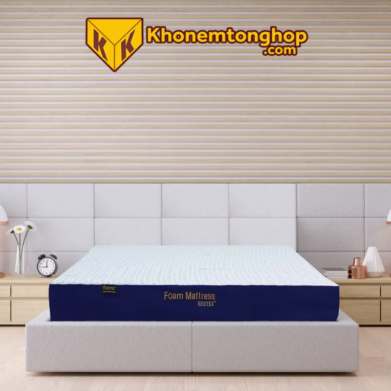 Địa Chỉ Bán Nệm Cao Su Non Giá Rẻ TPHCM 4 Nệm cao su non giá rẻ Beetex Foam