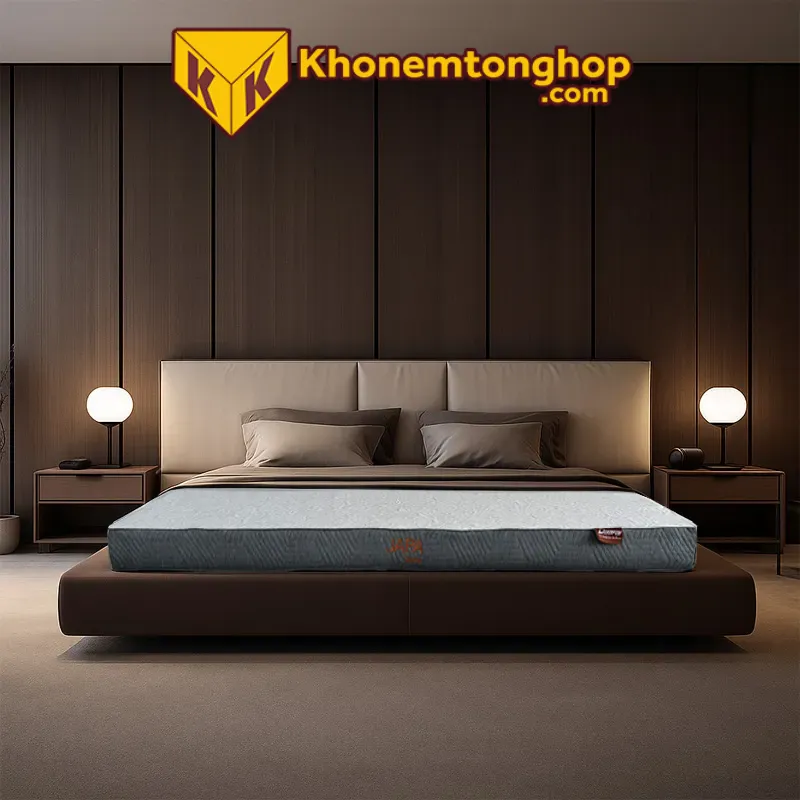 Địa Chỉ Bán Nệm Cao Su Non Giá Rẻ TPHCM 5 Nệm cao su non giá rẻ Daafar Japa