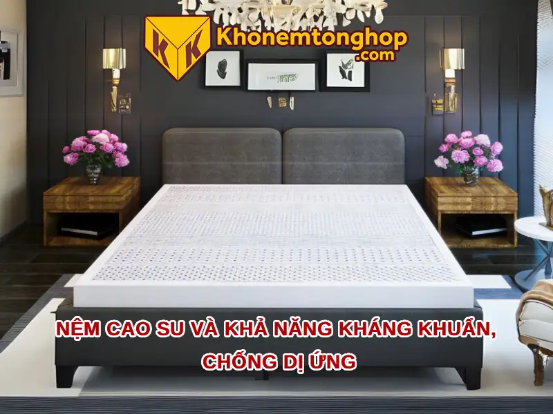 Nệm cao su và khả năng kháng khuẩn, chống dị ứng