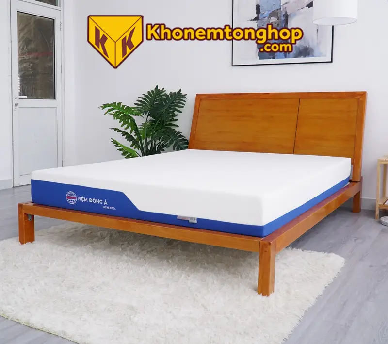 Giá nệm Đông Á sẽ bị ảnh hưởng bởi một số yếu tố