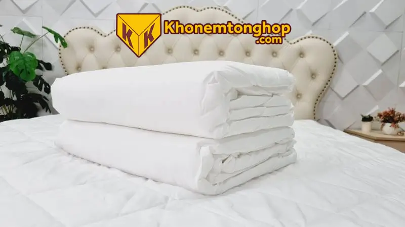 Top 15 Mẫu Ga Chống Thấm Cotton Được Yêu Thích Nhất Hiện Nay 3 Ga chống thấm cotton bảo vệ nệm Anita