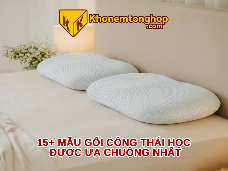 15+ mẫu gối công thái học được ưa chuộng nhất [timect]