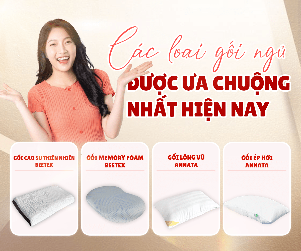 Top 4 mẫu gối ngủ bán chạy nhất tại Kho Nệm Tổng Hợp 3 Top 4 mẫu gối ngủ bán chạy nhất tại Kho Nệm Tổng Hợp 2
