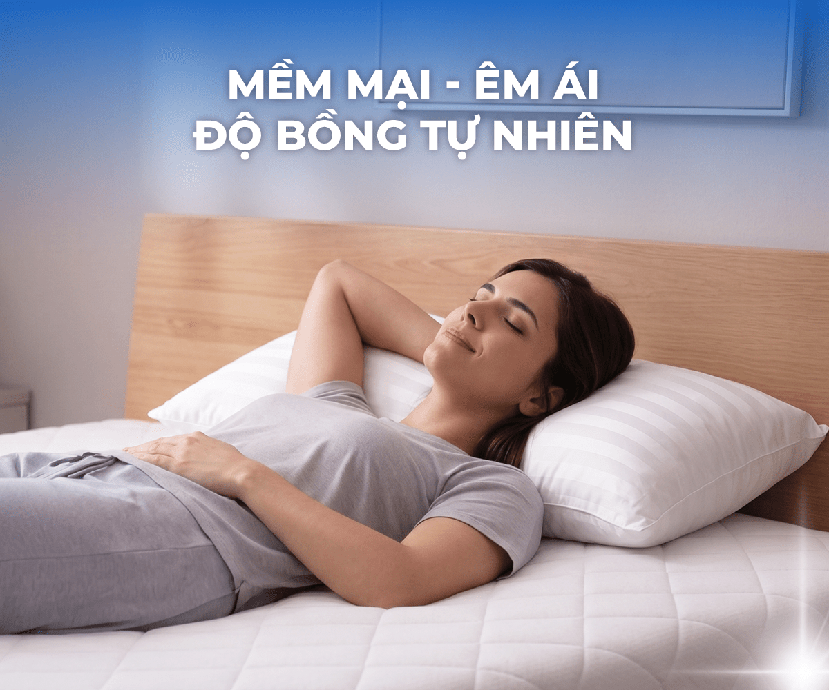 Top 4 mẫu gối ngủ bán chạy nhất tại Kho Nệm Tổng Hợp 8 Top 4 mẫu gối ngủ bán chạy nhất tại Kho Nệm Tổng Hợp 7